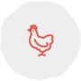 Poultry & Livestock
